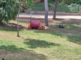 Vuelven a acampar en los Jardines del Turia de Valencia. 