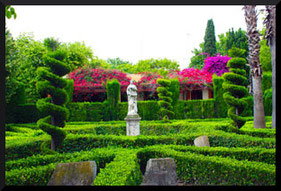 Los Jardines del Real más conocidos como los Viveros, es un hermoso parque que alberga una gran variedad de especies vegetales y un lago con aves acuáticas y una zona para los más pequeños.