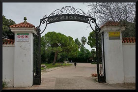 El Jardín de Benicalap fue inaugurado en 1983, es el parque más emblemático y visitado, después de los jardines de Viveros.
