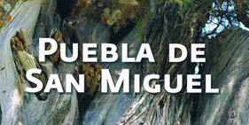Reserva natural de la Puebla de San Miguel, Comunidad Valenciana.