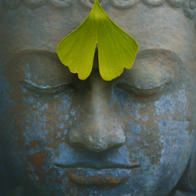 Meditation in Motion. Einfache geführte Meditation für Anfänger, Meditationstipps, Entspannung, Achtsamkeit, Meditation Online-Kurs, Meditationskurs in Zürich Oerlikon. Meditationsausbildung und Meditationslehrer Ausbildung in Zürich Oerlikon und Flims.