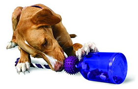 tugajar denkwerk spelletje hond