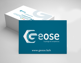 LOGO / CHARTE GRAPHIQUE // GEOSE