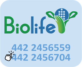 muebles para laboratorio, muebles para laboratorio en Mérida, muebles para laboratorio de quimica, muebles para laboratorio escolar, muebles para laboratorio quimico, muebles de laboratorio, muebles para laboratorios, sillas industriales