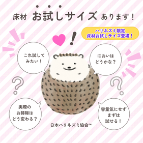 床材リサーチ結果からお試しサイズ始めました！