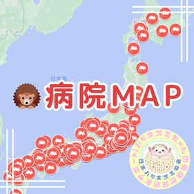 ハリネズミ診療実績のある病院です