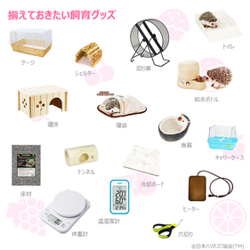 適切な飼育環境 整えましょう！