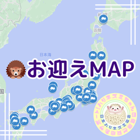 みなさんどこからお迎えしてる？