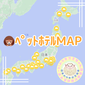 困ったときのﾍペットホテル！
