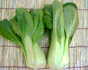 青梗菜(e-tokusenben)