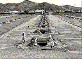 入浜式塩田(Shiojigyo)