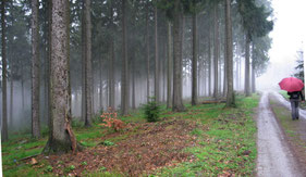 Novemberstimmung im April