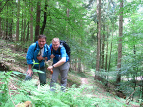 Stier gefunden