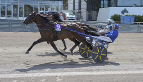 Magic Moment (R.Bakker) in Solvalla (Foto ALN)