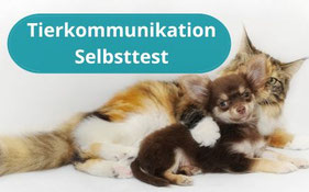 Frage 3