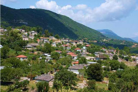 Village of Aristi