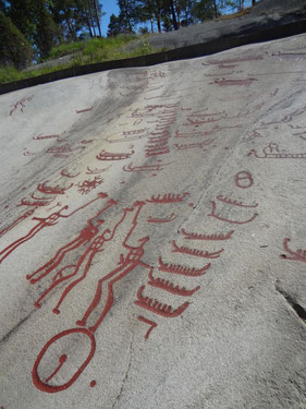 gravures rupestres à Tanum