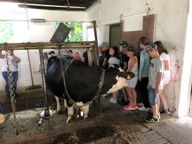 Mitmachtheater an der Meußdoeffer Grundschule - Kooperation mit den "Kleinen PrinZen", Bilder & Realsierung: Peter Dorsch Bayreuth