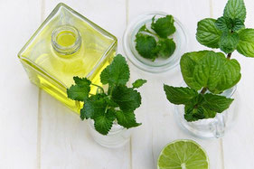 Ätherische Öle, Aroma-Öl, Aromaöl, Essenzen, Mückenstiche, Stechmücken, Insekten, Schutz, Mücke, Mücken