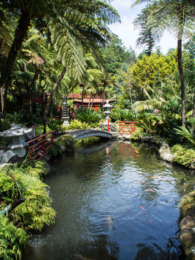 Bild: Tropical Garden