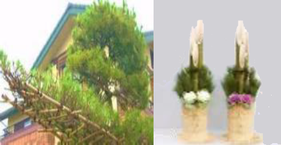 上鷺宮区民センターの花だより