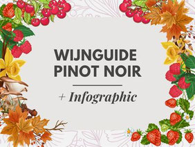 Pinot Noir Wijn Guide