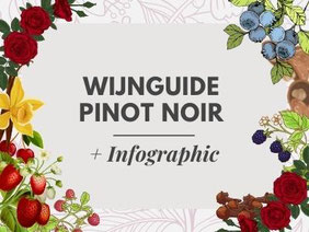 Pinot Noir Wijn Guide