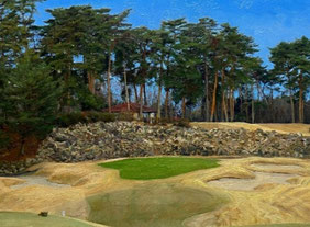 ニューセントアンドリュースGC (名物ホール) NEW14番 PAR3