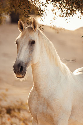 Foto von Clara Zeyffert