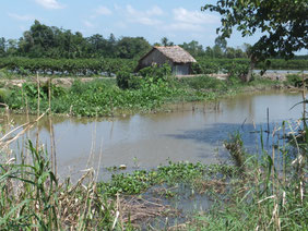 Mekong-Delta-rivier-kanaal-hutje-Vietnam