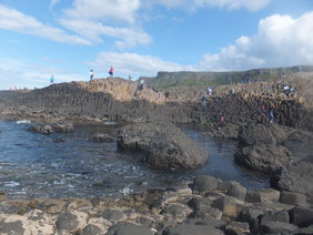Giant's-Causeway-Noord-Ierland-rotsen-reus