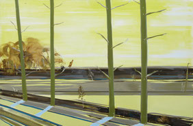 Zonder titel 80x120cm olie op canvas 2000 (Privé collectie Essen Duitsland)