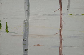 Z.T. 18x27cm acrylverf canvas 2003