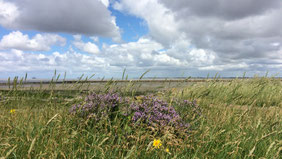 Ein phantastischer Himmel über Hallig Oland