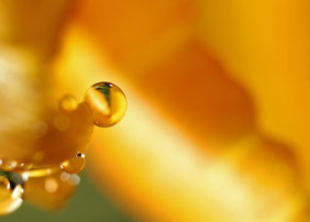 Goldene Wasserkugel