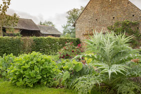 Gemüsegarten
