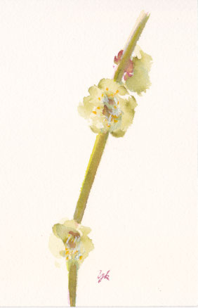 2018年3月