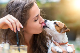 Chien lèchant une jeune fille