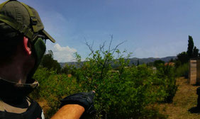 replique-airsoft-lanceur-billes-biodegradables-tir-rapide-red-dot-lunettes-precisions