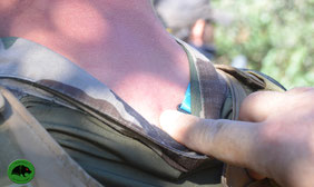 ti-allie-bille-biodegradable-airsoft