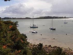 A venir : 2026 (juillet ) Les pointes du Golfe