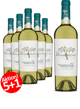 6-er Weinpaket | Viile Metamorfosis Feteasca Alba & Sauvignon Blanc 2021