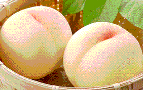 白桃(Shihoya)