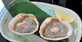 蟹味噌(Sapporo kanihan)