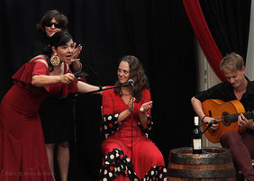 Szene aus der Flamenco-Aufführung beim spanischen Sommerfest am 20.07.2013 im Tanzstudio La Fragua mit Uschi & Maruscha / Color-Foto by Boris de Bonn