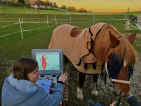 Behandlung Cushing Syndrom mit dem Eavet-Scanningsystem