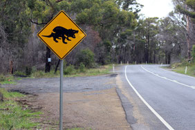 Tasmanien, Tasmanischer Teufel, Warnung, Straßenschild, Australien