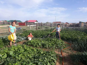 School children whose schools are closed also participate actively