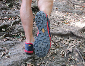 Nb minimus trail 10v4 sales