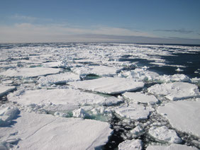 Capa de hielo en el océano Ártico./ © Carlos Duarte